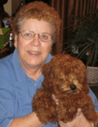 Linda Lee (Linn) Berg Obituary